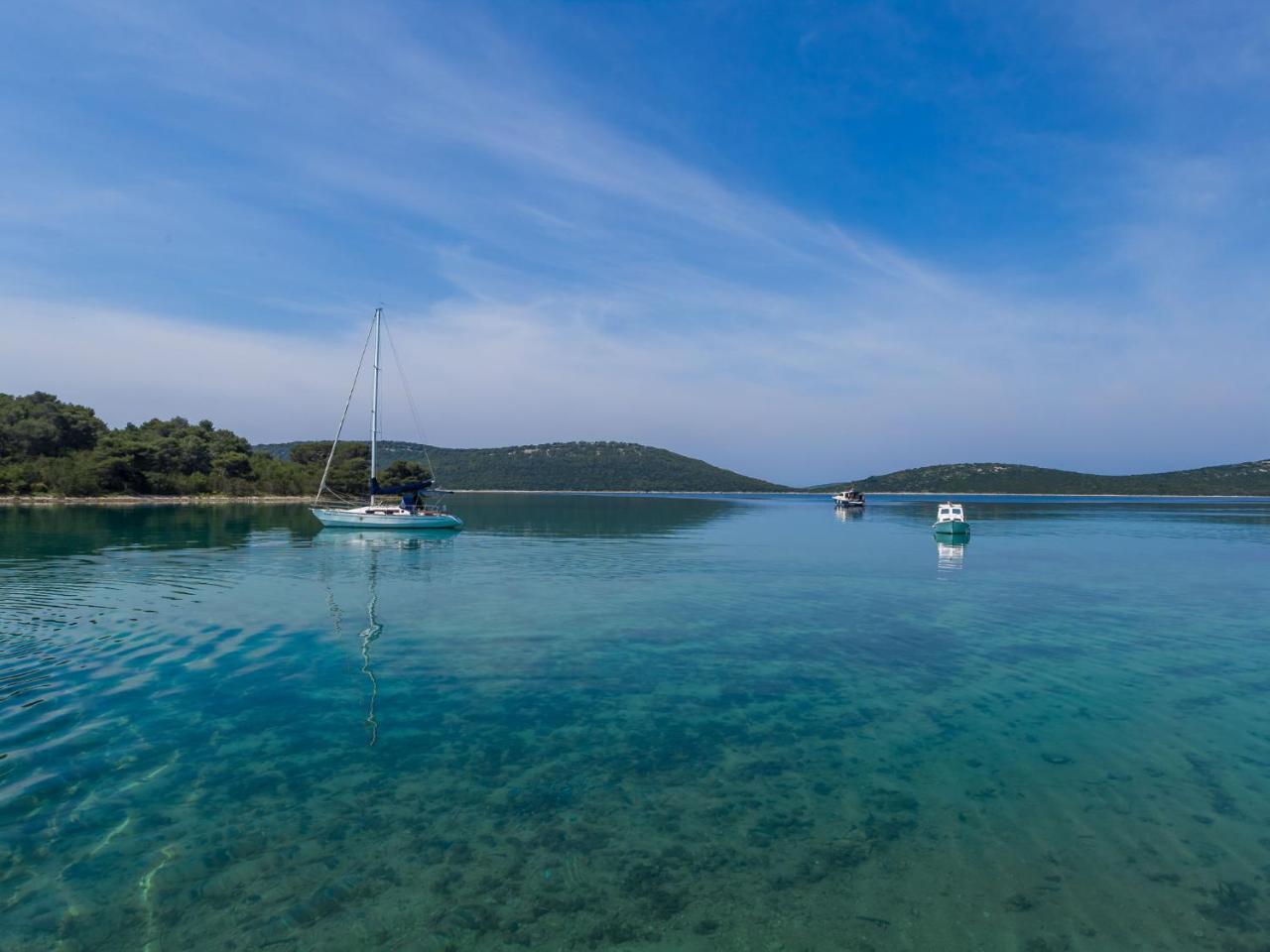 Spacious Holiday Home In Molat With Pool Brgulje Eksteriør billede